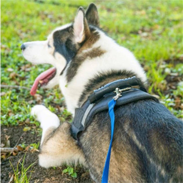 1.8-30m Dog Leash Pet Puppy Training Obedience Recall Lead Outdoor Walk Leashes