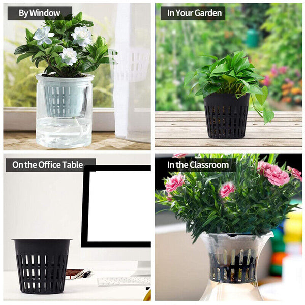 40-200x Mesh Pots Basket Plant Grow Net Cup Aeroponic Hydroponics Aquaponic Mesh