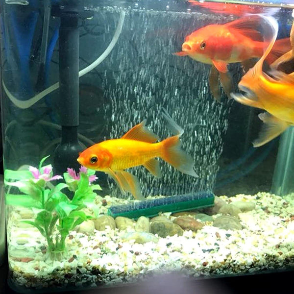 UP 5x 10cm Bubble Bar Air Stone For Aquarium Fish Tank. Pump Oxygen To Aqua Pond