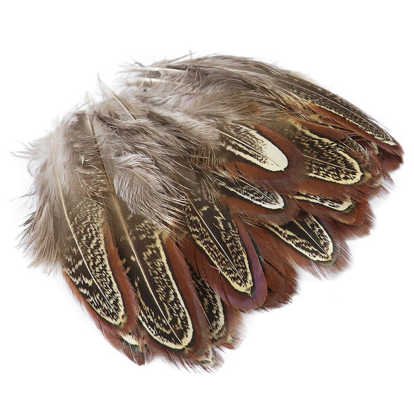 BULK 50pcs Natural Pheasant Feathers 5-8cm DIY Craft Millinery Smudge Fan