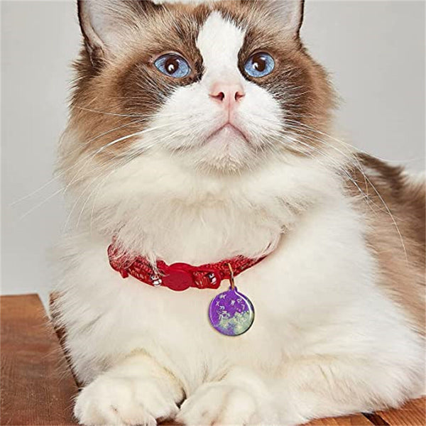 5x Dog Bone Cat Tag Pet Pendant Silicone Resin Molds +10pcs Keychain DIY Tool AU