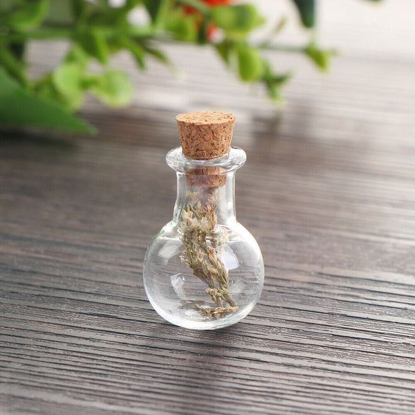 DIY Assorted Mini Empty Glass Bottle Vials Cork Charm Wish Bottles AU