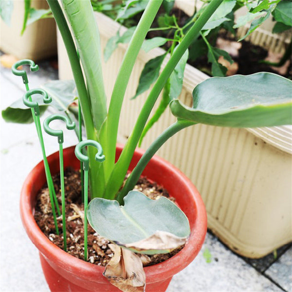 10X Garden Single Stem Support Ring Plants Flower Support Stake Fiberglass Green