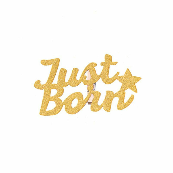 12 Month Photo Banner Milestone Photo Banner for First Birthday Party DIY Deco