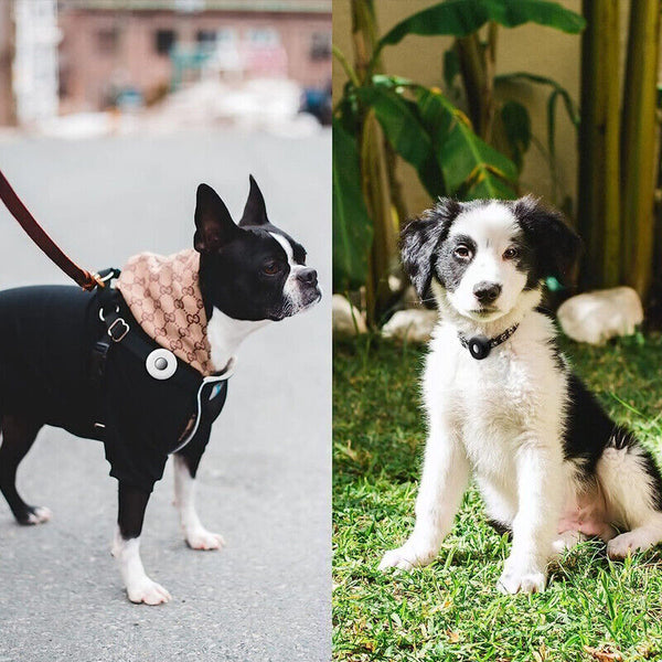 Silicone Pet Protective Case for Airtag Loop Apple GPS Finder Dog Cat Collar AU