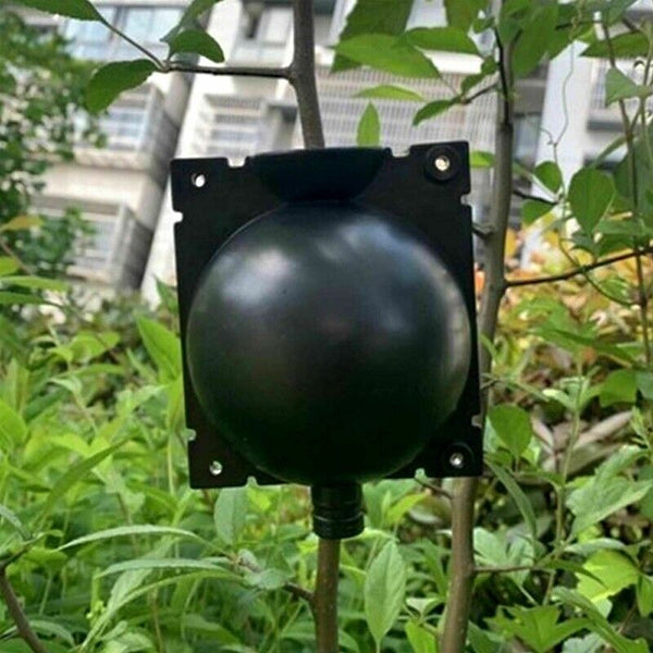 10Pcs Plant Rooting High Pressure Propagation Ball Root Grow Grafting Box AU