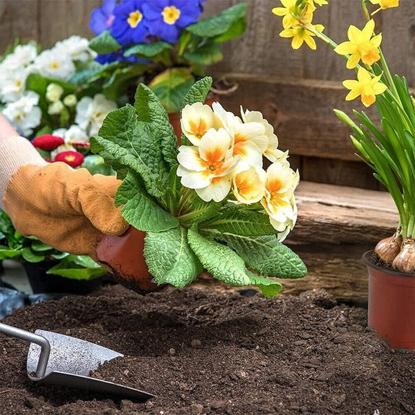 100x Plastic Plant Flower Garden Pots Nursery Seedlings Pot Growing Container AU
