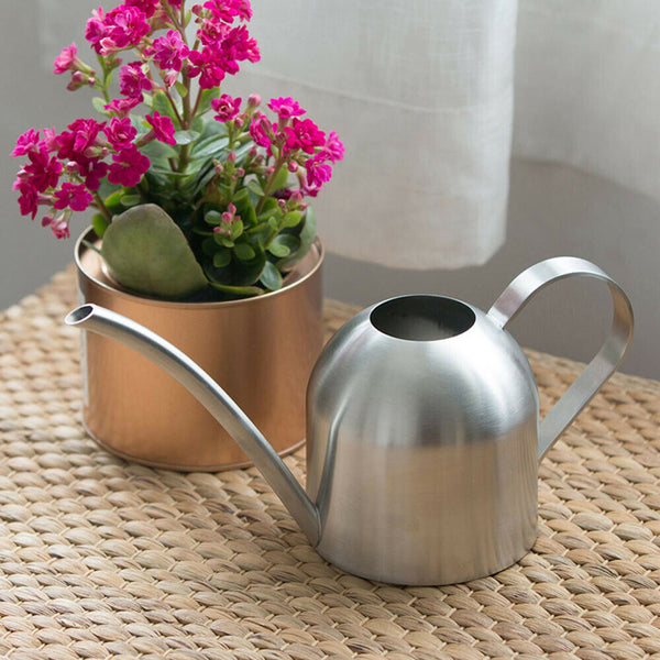 500ml Small Indoor Watering Can for House Plants Stainless Pot w/ Long Spout - Lets Party