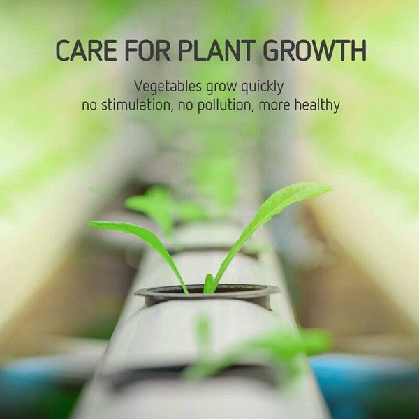 40-200x Mesh Pots Basket Plant Grow Net Cup Aeroponic Hydroponics Aquaponic Mesh