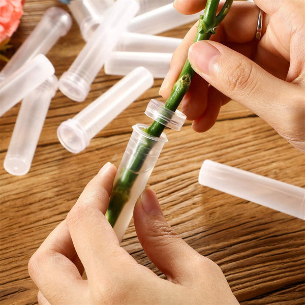 Up 200Pcs Plant Flower Tubes Plastic Nutrition Water Tube Vials Cap Decor 7CM AU