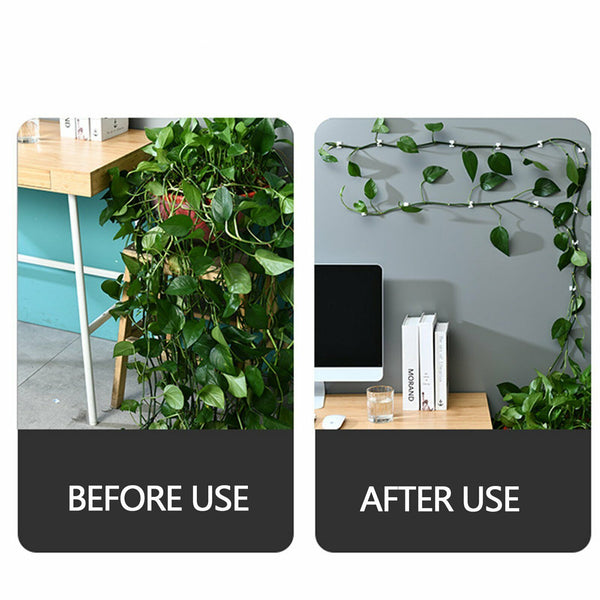 200Pcs Invisible Wall Rattan Clamp Clip Plant Climbing Wall Clip Wall Vine Fixt