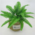 products/s-l1600_903de9d1-dee0-42b5-aacd-f55c21512469.jpg