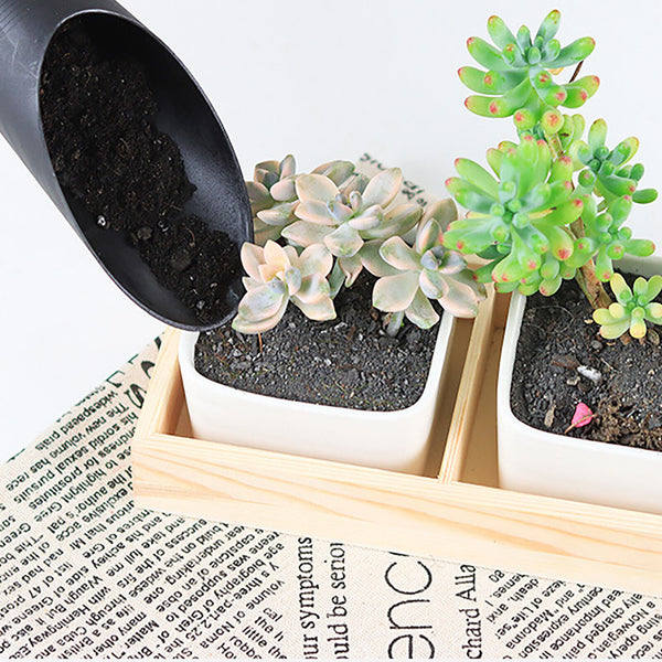 16PCS Mini Garden Tool Kit Potted Succulent Plant Trimming Bonsai Hand Tools Set