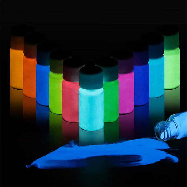 12Pcs Glow In the Dark Powder Colorant Dye Luminous Resin Paint Pigment Kit AUS