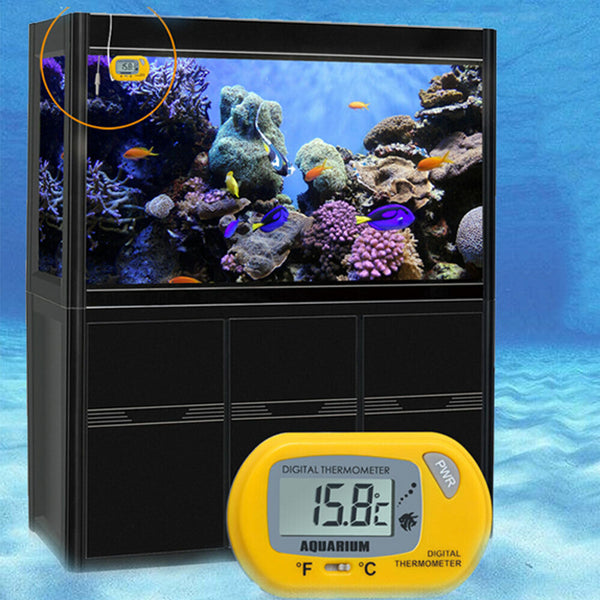 Reptile Aquarium Digital Thermometer Marine Fish Tank LCD Terrarium Frog Gauge