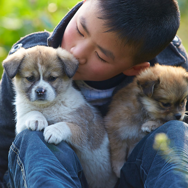 Pet Dog Squeaky Puppy Chew Squeaker Dental Teeth Clean Bite Training Funny Toy