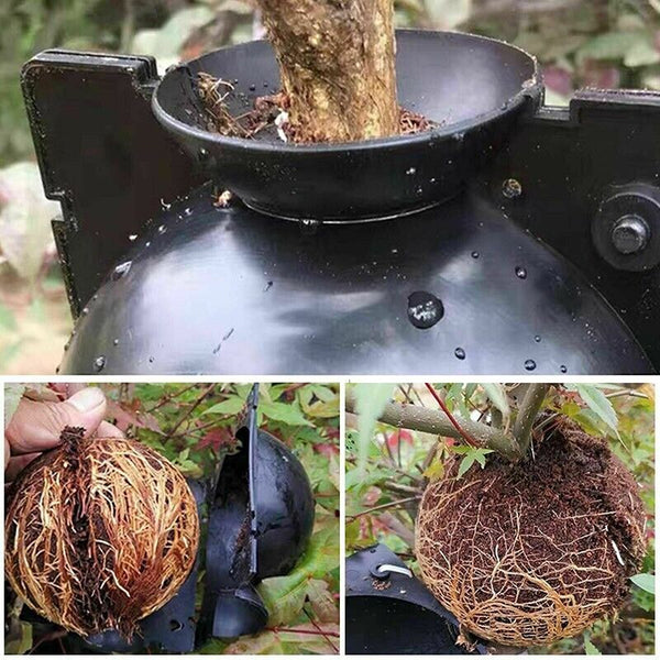 10Pcs Plant Rooting High Pressure Propagation Ball Root Grow Grafting Box AU