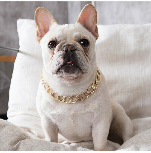 Gold Puppy Chain Necklace Pet Small Dog Necklace Collar Jewelry Neck Accessory