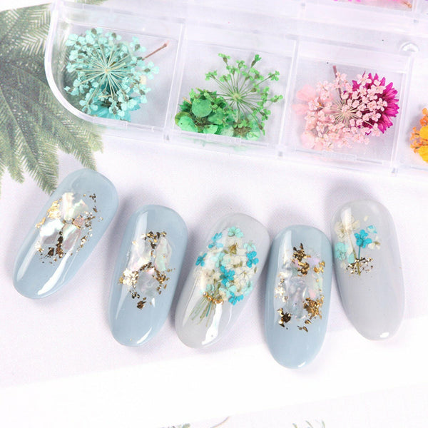 12 Colours 36pcs Real Dried Flowers Nail Art Decoration DIY Tips Nail Decals AU