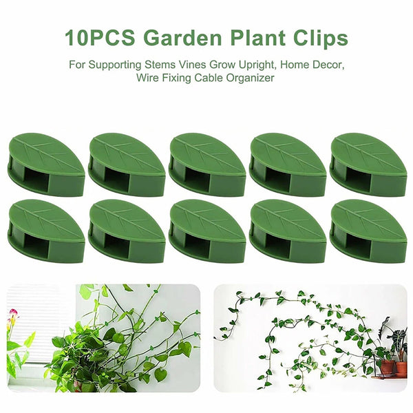 Invisible Vine Plant Clips Rattan Plant Climbing Wall Clip Wall Vine Fix Fixture