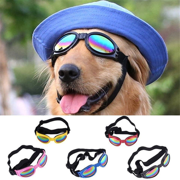 Protection Small Doggles Dog Sunglasses Pet Goggles UV Sun Glasses Eye Wear AU