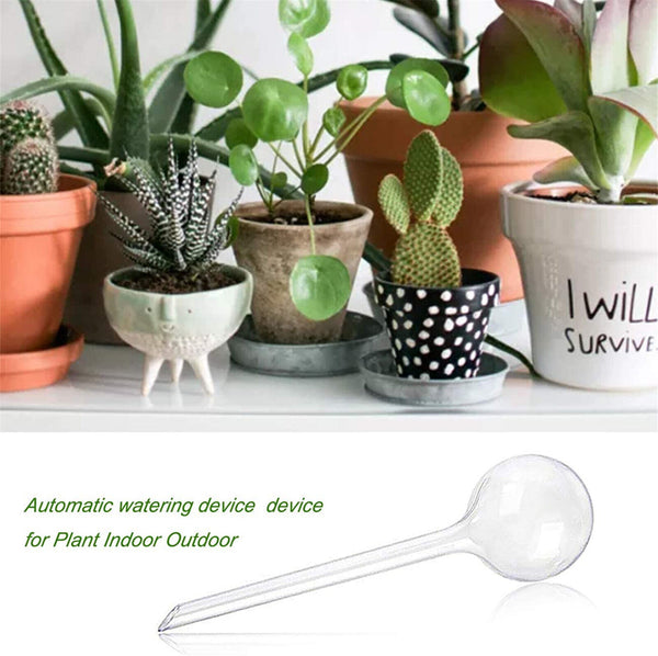 20Pcs Plant Water Bulbs Self Watering Globes Automatic Water Device Balls AUS