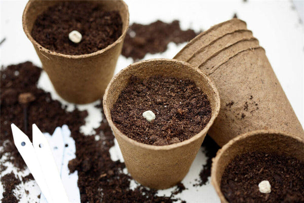 Biodegradable Paper Seedling Pots Seed Starter Garden Nursery Round Herb Planter