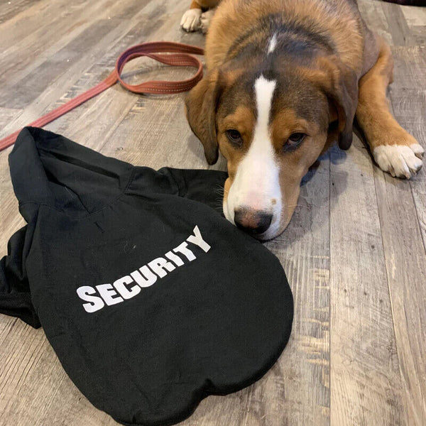 Pet Dog Clothes Hoodie Warm Winter Jumper Puppy Cat Clothing Coat Jacket Shirt