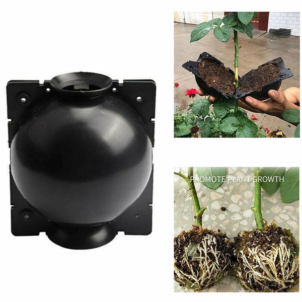 10Pcs Plant Rooting Device High Pressure Propagation Ball Root Grow Grafting Box - Lets Party