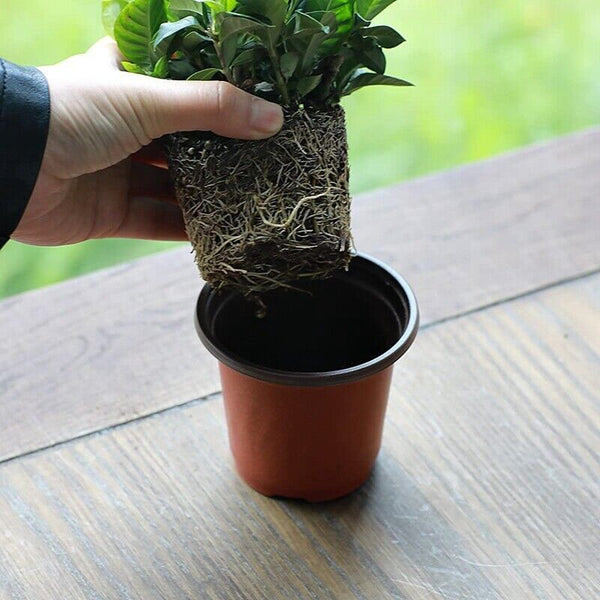 100x Plastic Plant Flower Garden Pots Nursery Seedlings Pot Growing Container AU