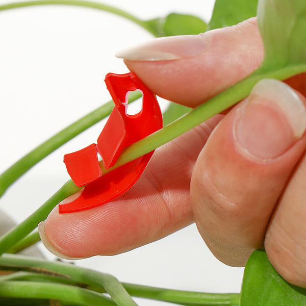 100Pcs Tomato Greenhouse Garden Plant Support Veggie Clip Trellis Twine AU