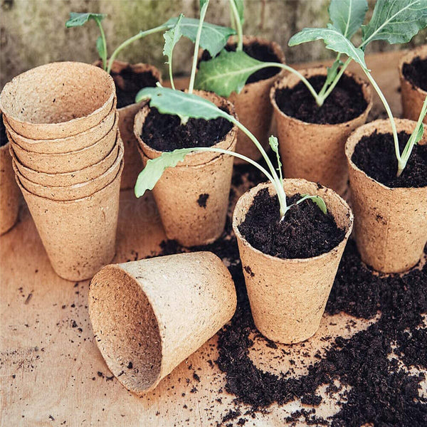 Biodegradable Paper Seedling Pots Seed Starter Garden Nursery Round Herb Planter