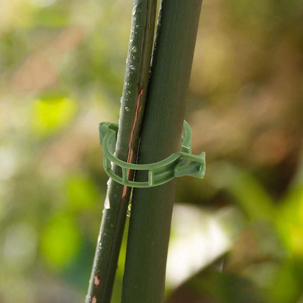 300/600/1200PC Tomato Greenhouse Garden Plant Support Veggie Clip Trellis Twine
