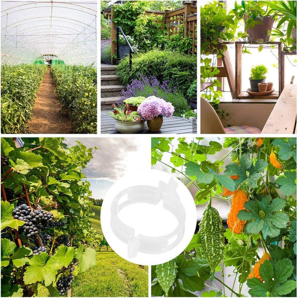 100x Tomato Greenhouse Garden Plant Support Veggie Clips Trellis Twine Clear AU