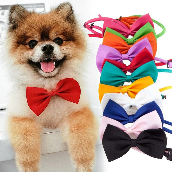 10/50/100PCS Wholesale Pet Dog Puppy Cat Necktie Bow Ties Collar Grooming Out AU