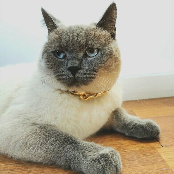 Gold Puppy Chain Necklace Pet Small Dog Necklace Collar Jewelry Neck Accessory