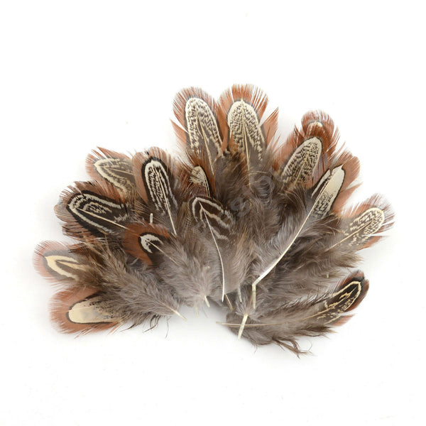 BULK 50pcs Natural Pheasant Feathers 5-8cm DIY Craft Millinery Smudge Fan