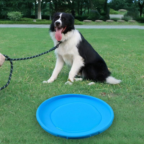 Dog Frisbee Rubber Pet Puppy Safe Exercise Fetch Outdoor Training Toy AU STOCK