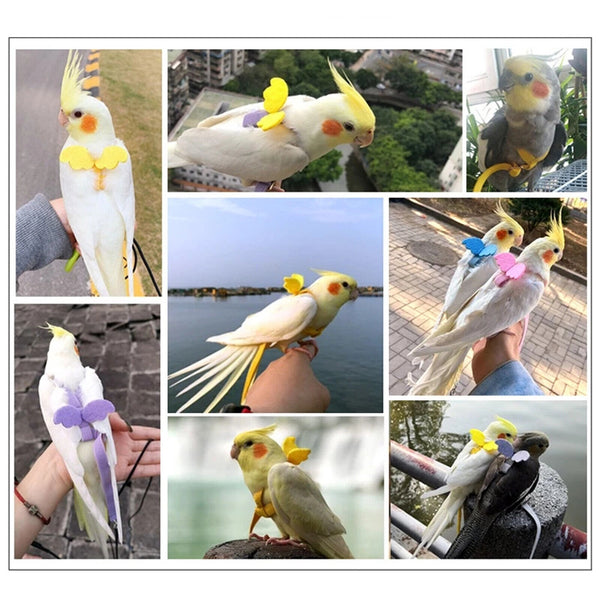 Adjustable Pet Parrot Bird Harness Lead Leash Flying Training Rope Cockatiel VIC