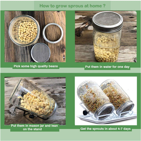 1 set Seed Sprouting Jar Kit Mouth Sprouting Jar with Screen Lid Stands16oz/32oz