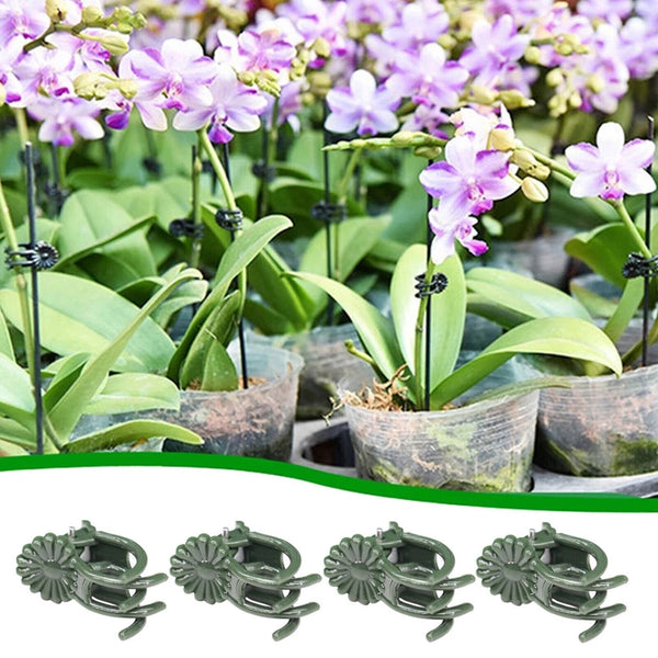 100Pcs Plant Garden Clips Vegetable Support Flower Holding Vine Orchid Clips AUS
