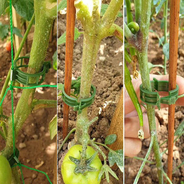 300/600/1200PC Tomato Greenhouse Garden Plant Support Veggie Clip Trellis Twine