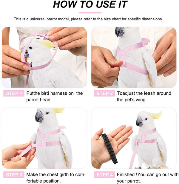 Adjustable Pet Parrot Bird Harness Lead Leash Flying Training Rope Cockatiel VIC