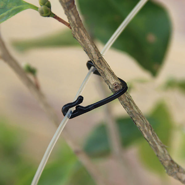 50x Trellis Garden Clip Plant Support Trelli For Garden Plant Twine Plant Suppot