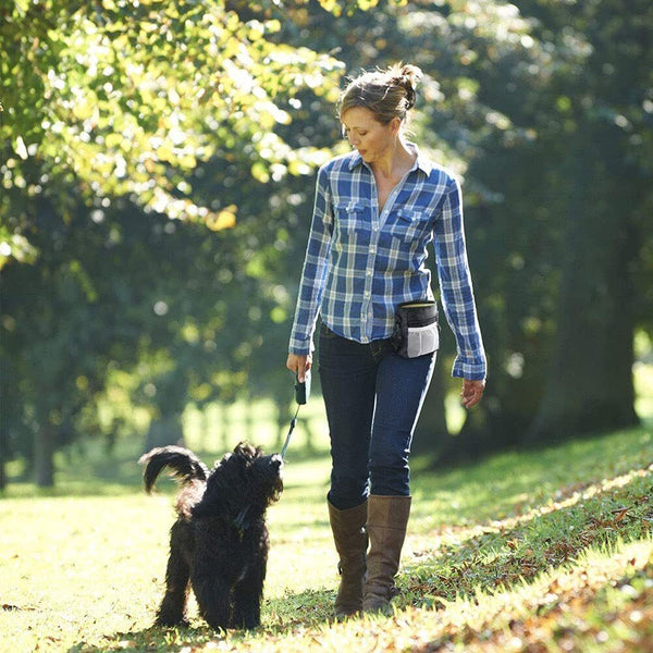 Dog Treat Training Pouch Pet Training Bag Large Capacity Puppy Snack Waist Bags