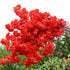 products/s-l1600_c4ca70ca-6683-473f-bbb4-f57fe59ad4c1.jpg