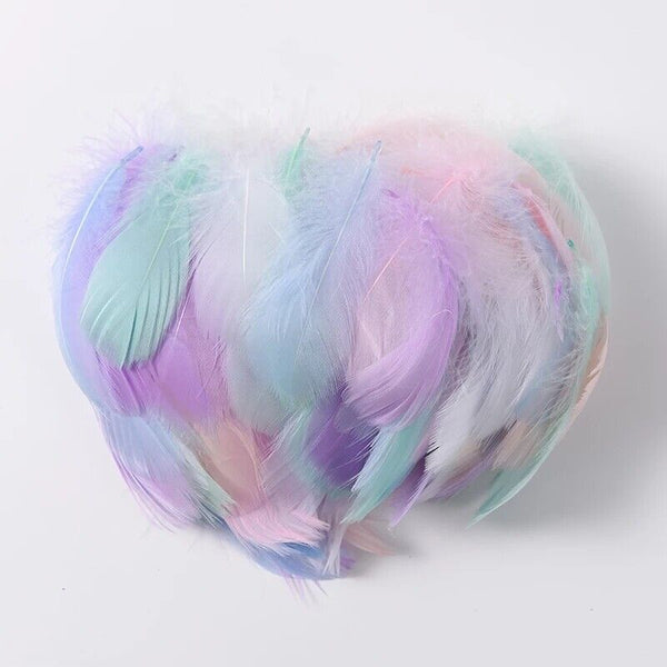 100x Macaron Mixed Colour 3-8cm Goose Feathers DIY Craft Dream Catcher Party AU
