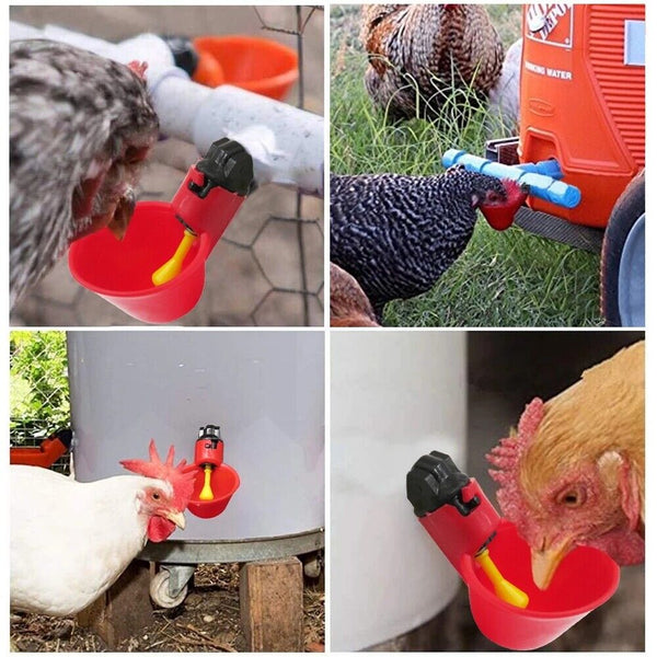 10PCS Automatic Cups Water Feeder Drinker Chicken Waterer Poultry Chook Bird AUS