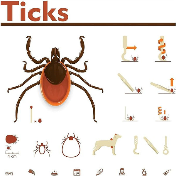 3pcs Pet Cat Dog Tick Remover Tool Stainless Steel Fleas Tweezers Clip Kit Set