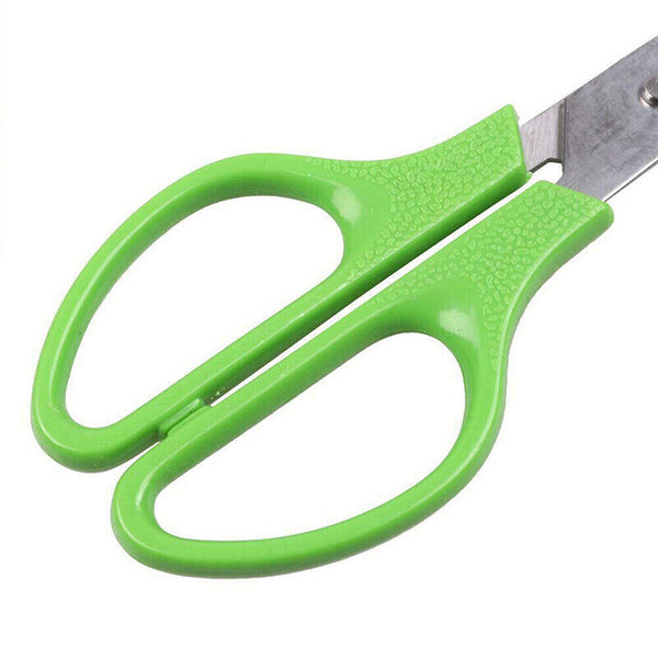 Pigeon Quail Egg Scissors Cracker Opener Cigar Cutter Tool Stainless Steel AU